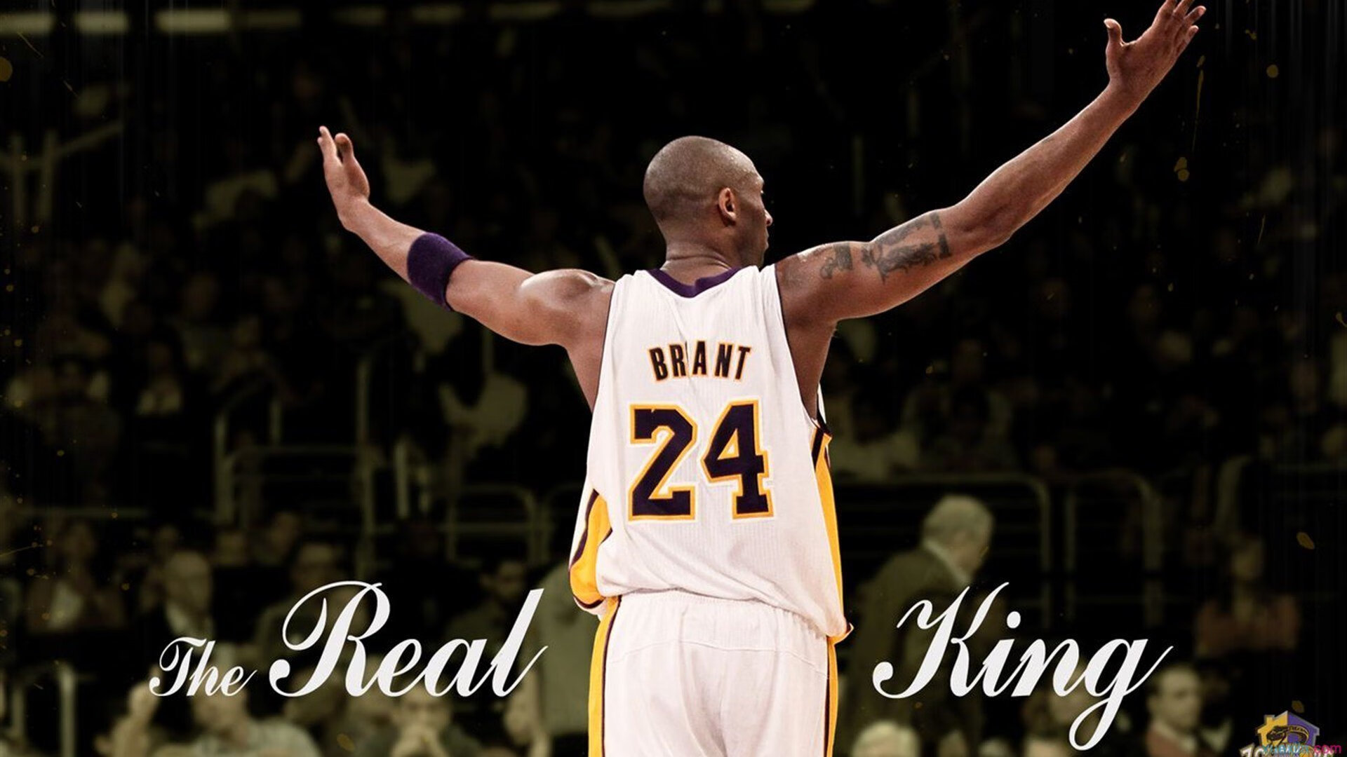 九游娱乐app下载-看点提前爆料：即将到来的季后赛明星对决，季后赛冠军预测